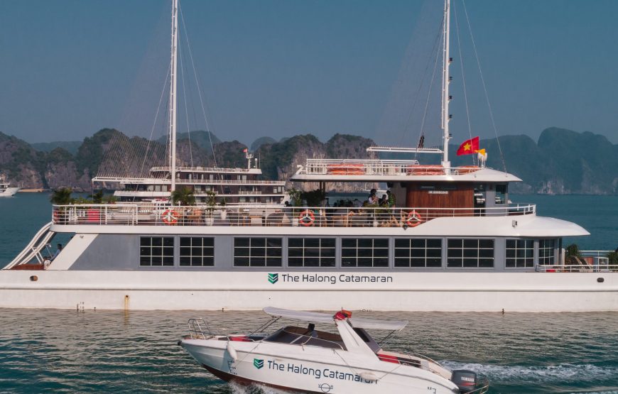 One Day Luxury Ha Long Bay Trip With Catamanran 5 Star Cruise