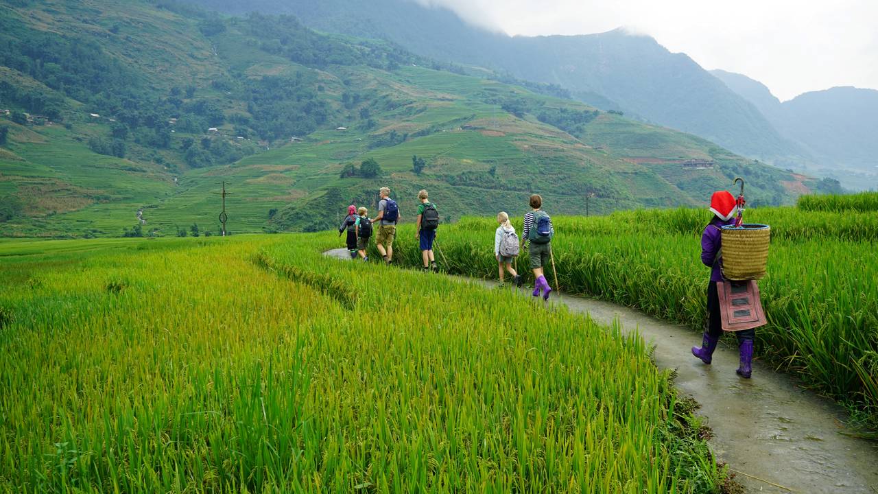 Day 2: Long trek Sa Pa - Y Linh Ho - Lao Chai - Ta Van Village (B, L,D)