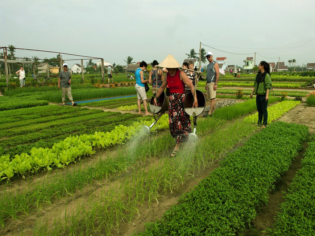 Being A Farmer in Tra Que Vegetable Village – Cooking Class Half Day Tour